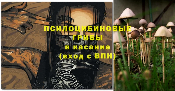 не бодяженный Арсеньев