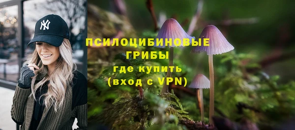 ALPHA PVP Аркадак