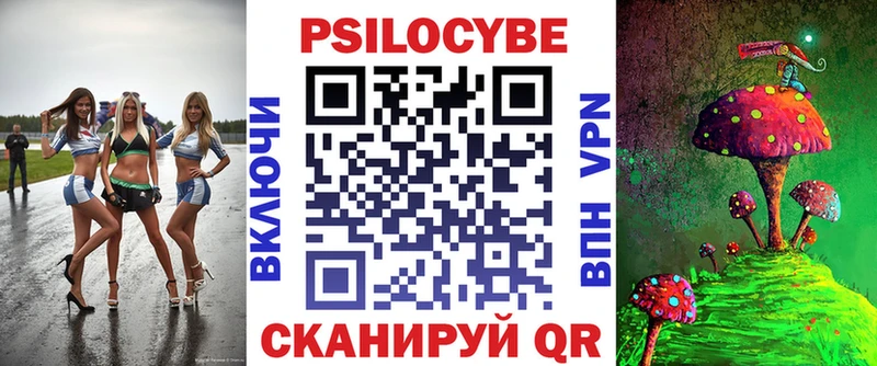 Псилоцибиновые грибы Psilocybine cubensis  Мурино 